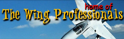 WINGS OVER Franchise Information