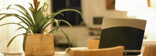 Green Life Interiors Franchise Opportunity